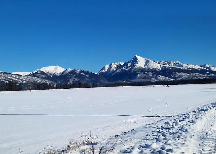 Nad Sadom Сasa de vacaciones